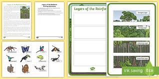 Layers And Plants Of The Rainforest Pack Primary Resources