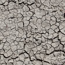 Below are some of the best plants for clay soils: Clay Busters Finegardening