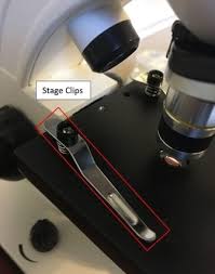 When you switch to a higher power, the field of view closes in towards the center. 16 Parts Of A Compound Microscope Diagrams And Video Microscope Clarity