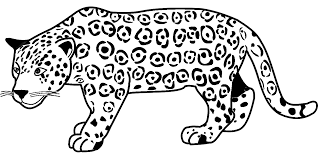 Digi stamp, pagine da colorare, arte digitale, animali del bambino, festa della mamma. Disegno Da Colorare Di Testa Di Giaguaro Stile Cartoon