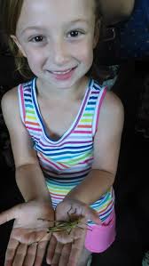 Immersive experience at the Smithsonian, Washington DC.