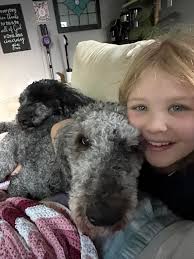 Found dog in Warren, Michigan, seeking owner