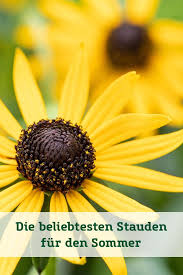 Die Beliebtesten Stauden Fur Den Sommer In 2020 Stauden Bepflanzung Staudengarten
