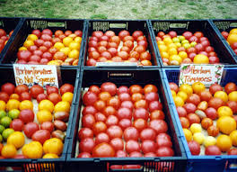 Reach out with any questions! The Herb Farmacy Heirloom Tomatoes
