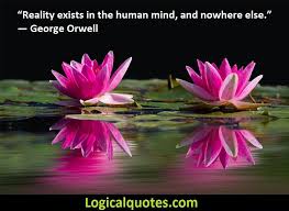 George Orwell Quotes Good Night Flowers Water Lilies Flower Images