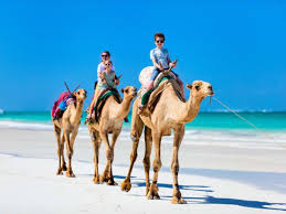 Camel racing is not very popular considering the fact that camels aren't that fast, it is done in the desert areas of northern africa and saudi arabia. Camel Ride On A Beach With Combo Experiences In Bali From Nusa Dua Tours Activities Fun Things To Do In Bali Indonesia Veltra