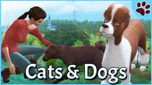 Thank you ea for providing me with the expansion pack!how to. Adopting Strays The Sims 4 Cats And Dogs Part 3 Youtube