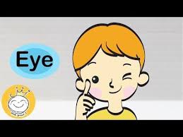 Here's a sneak peek at the fun to be had: Learn Face Parts Face Parts For Kids Youtube Kids Learning Learning Kids