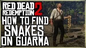 How To Find All The Snakes In Guarma Red Dead Redemption 2 Chapter 5 Exploring The Island Youtube