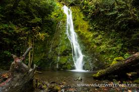 See tripadvisor's 13,769 traveler reviews and photos of olympic national park tourist attractions. Madison Falls Olympic National Park Www Wilde Weite Welt De