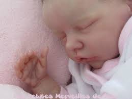 Flora, treizième petite merveille.