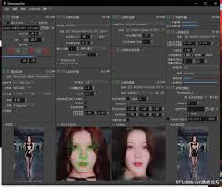 网上的dfm模型搬运。一个换脸模型的合集- 【DFL】模型分享- AIBL ...