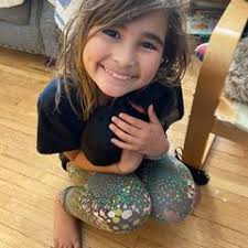 25 cute Welsh Terrier puppies for sale in Grand Island, Nebraska