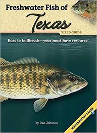 Freshwater Fish Of Texas Field Guide Dan Johnson