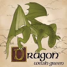 Even muggles know about them and would immediately recognize one. 023 Dragon Common Welsh Green Fantastic Beasts And Where To Find Them By Me Harrypotter