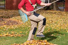 Cas Pratique Les Feuilles Mortes Du Voisin Envahissent Mon Jardin