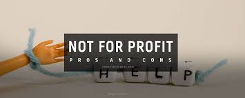 We did not find results for: 12 Advantages And Disadvantages Of Non Profit Organization