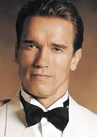 Harry Tasker Fan Casting