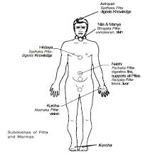 Maybe you would like to learn more about one of these? Hindu Temple And The Structure Of Human Body Comparison Surya World