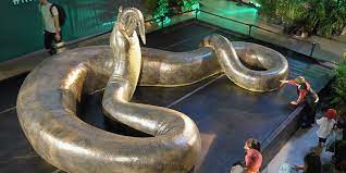 Sempat di nyatakan, titanoboa merupakan ular terbesar yang pernah hidup di dunia. 9 Daftar Ular Terbesar Di Dunia Banyak Tinggal Di Indonesia Pintarpet