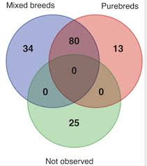 Icb Articles On Breeding