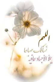 18698055 366077773789424 8159855250933058555 n good morning images flowers beautiful morning messages good morning arabic