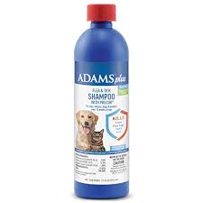 Shop allivet, your trusted pet pharmacy, for the lowest prices, guaranteed. How To Get Rid Of Fleas According To Veterinarians