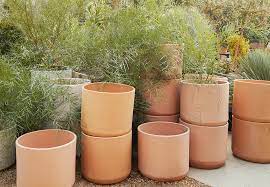 Terra Cotta Pots And Planters Flora Grubb Gardens Terracotta Planter Terracotta Pots Planter Pots