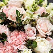 Browse photos, see new properties, get open house info, and research neighborhoods on trulia. House Of Flowers Alexandria La Partner