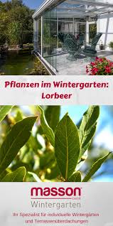 Wintergarten Der Perfekte Ort Fur Ihre Pflanzen Pflanzen Wintergarten Kaltwintergarten