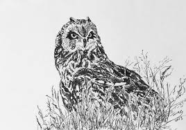 Country Owl Others Drawings Buy Original Art Me pareció genial, nunca había visto una, no pude quitarle la vista en su trayecto, y yo señalandote la lechuza y diciéndote mirá! artenet es