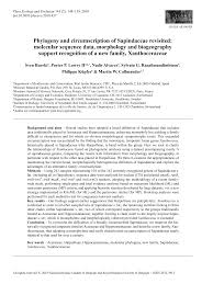 Image result for Eriocoelum microspermum