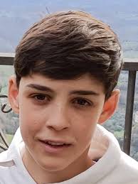 Federazione Italiana Baseball Softball