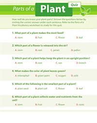 This interesting quiz tests how well you know weird science trivia facts. Plant Quiz Worksheet Education Com
