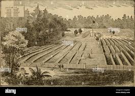 K kidder hi-res stock photography and images