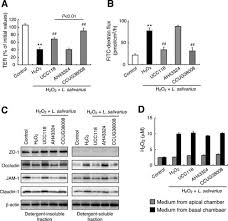 Jul 15, 2021 · this is game8's genshin impact character tier list. Mechanism Of Protection Of Transepithelial Barrier Function By Lactobacillus Salivarius Strain Dependence And Attenuation By Bacteriocin Production American Journal Of Physiology Gastrointestinal And Liver Physiology