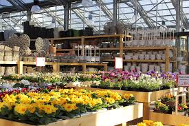 Hinzu kommen die shoppingsonntage in brandenburg! Blumen Peters Verkaufsoffener Sonntag Am Weserpark Bremen