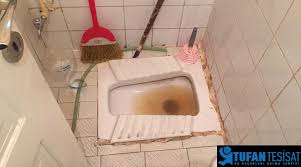 10 sararmış lavabo taşı nasıl temizlenir görüntüler guertel. Tuvalet Tikanikligi Kalici Cozumler