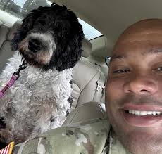 St. Bernard Adoption in California: St. Bernard Puppies for Sale in  California