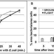PDF) Innate Immune Responses of Drosophila melanogaster Are Altered by  Spaceflight