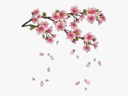 See more ideas about plants, . Aesthetic Flowers Flower Pink Pinkaesthetic Overlay Cherry Blossom Png Hd Transparent Png Transparent Png Image Pngitem