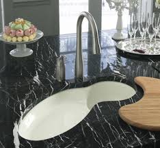 kohler fete kitchen sink a perfect