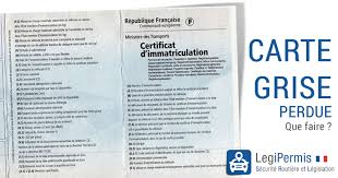 Lorsque la vente a été réalisée, le vendeur remet la carte grise barrée au nouveau propriétaire. Carte Grise Perdue Que Faire Legipermis