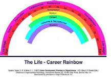 Image result for Explain Super's life roles, career maturity, life space, and work-life-balance in career development.