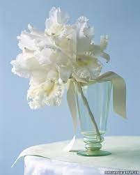 64 White Wedding Bouquets White Wedding Bouquets White Bouquet Orchid Bouquet