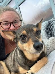 Louth Dog & Cat Owners