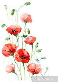 poppies series c sticker pixers we live to change watercolor flowers paintings poppy flower painting poppy painting