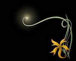 You can download free the black, minimalistic, yellow, flower, petals, black, background wallpaper hd deskop background which you see above with high resolution freely. Hd Wallpapers Is Very Important Theme For Very Computer Black Background Flower Hd 1280x1024 Wallpaper Teahub Io