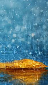 Rain Drops Wallpapers Rainy Days Morning Dew Water Droplets Pouring Rain Gif Rain Gif Live Wallpapers Rain Animation Iphone Wallpaper Images