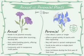 A perennial stream or perennial river is a stream or river (channel) which has constant stream throughout the year through parts of its stream bed during years of normal rainfall. What S The Difference Between Annual Plants And Perennials Annual Plants Perennials Annuals Vs Perennials